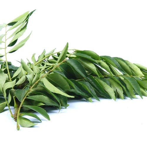 Curry leaves all - leaves, 6